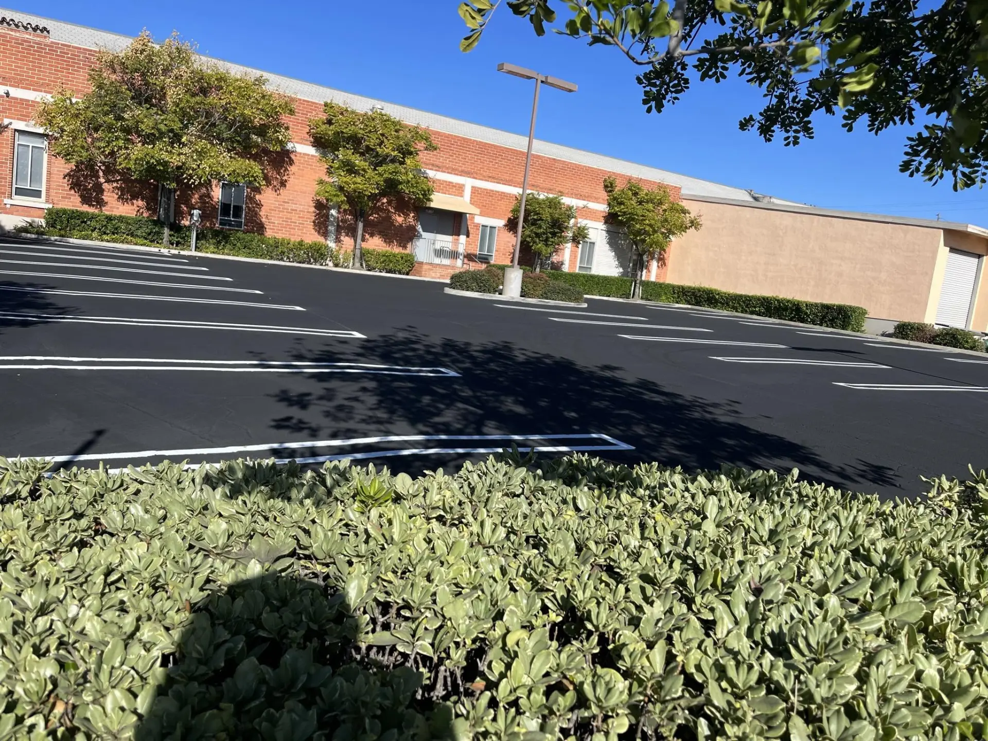 Freshly sealcoated and striped commercial parking lot